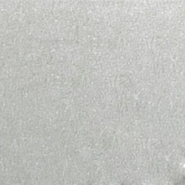 RAL 9006
